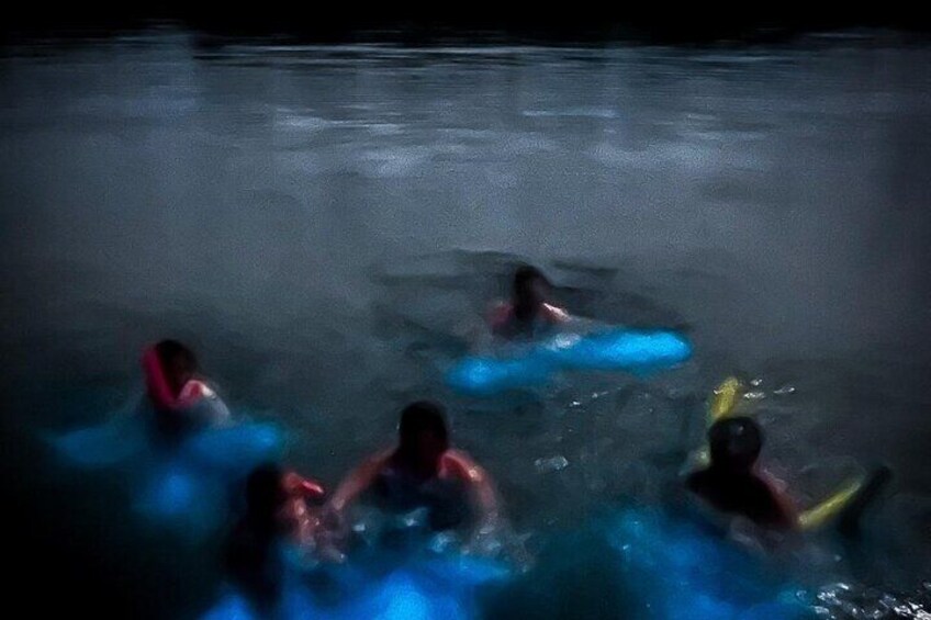 The ULTIMATE Bioluminescence night time adventure with Brandon 