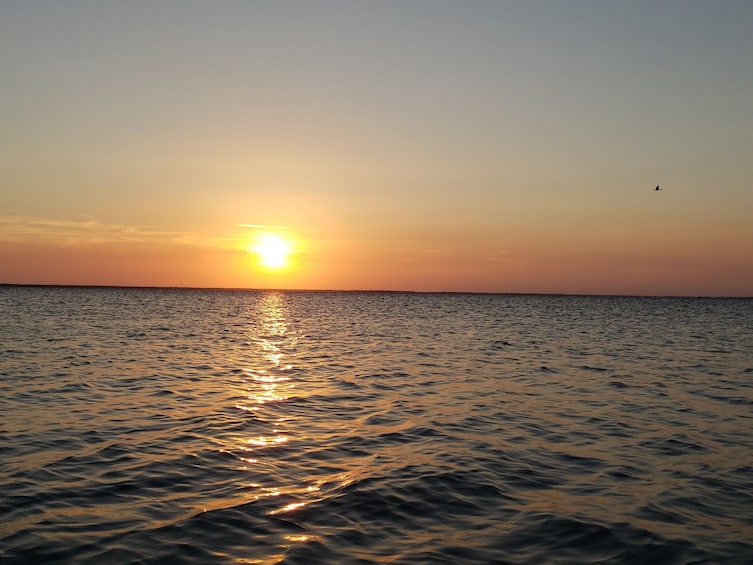 Show item 4 of 3. Sunset Kayaking / Haulover canal (Titusville)
