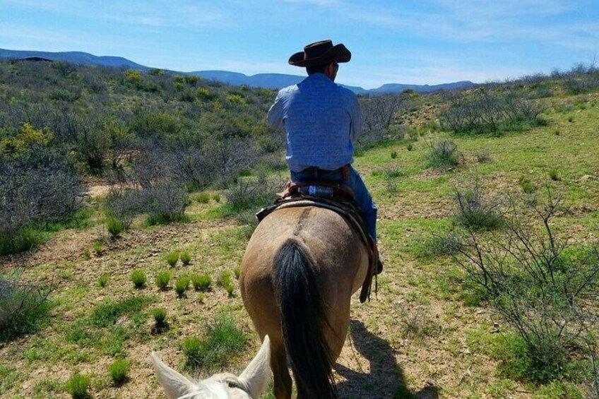 Scenic Horseback Adventure