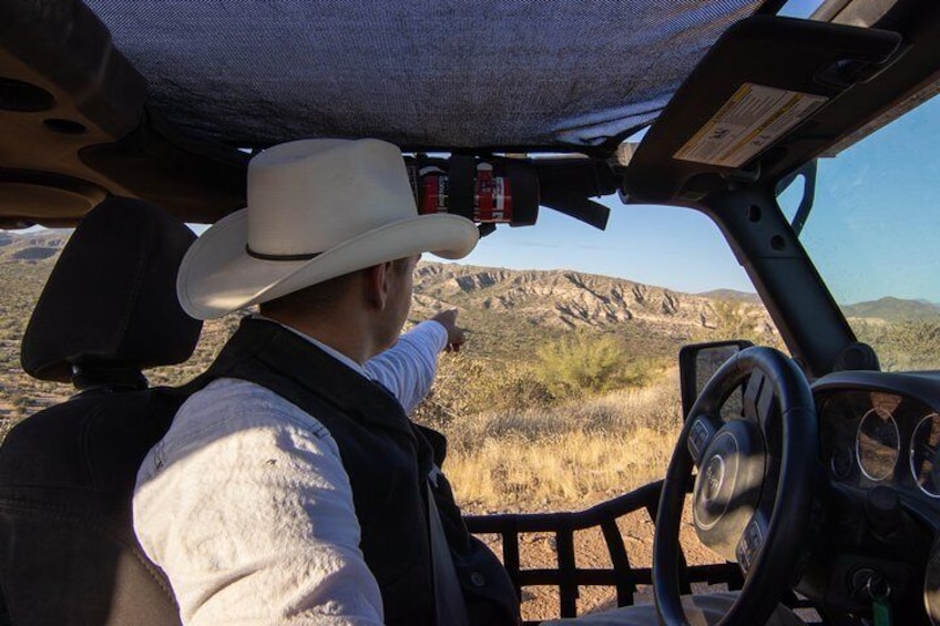 Our professional tour guides are experts on Sonoran Desert flora and fauna. 