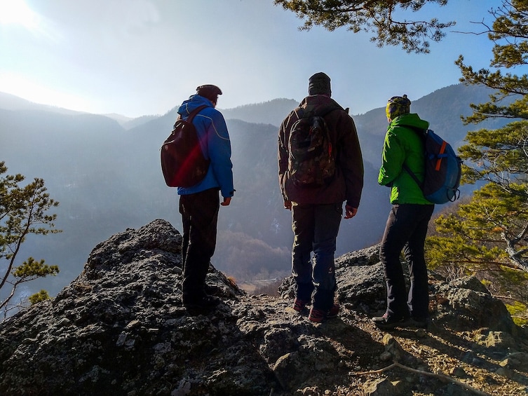 From Brasov: Wildlife tracking in Putna Vrancea Natural Park