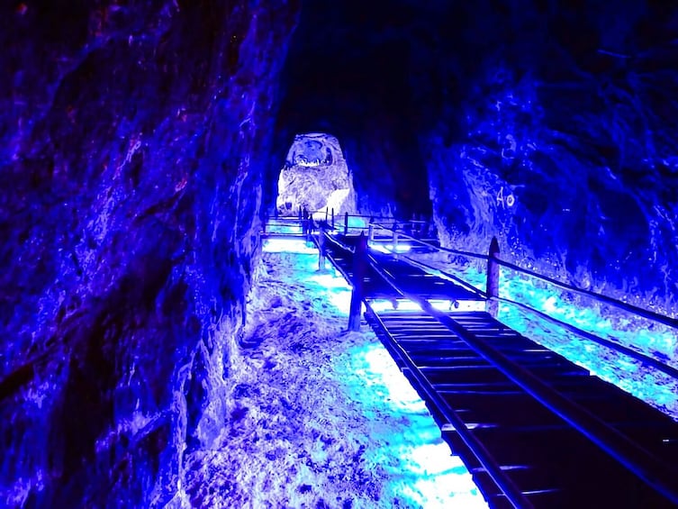Nemocon Salt Mine excursion from Bogota