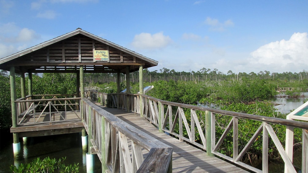 View of the Lucayan National Park