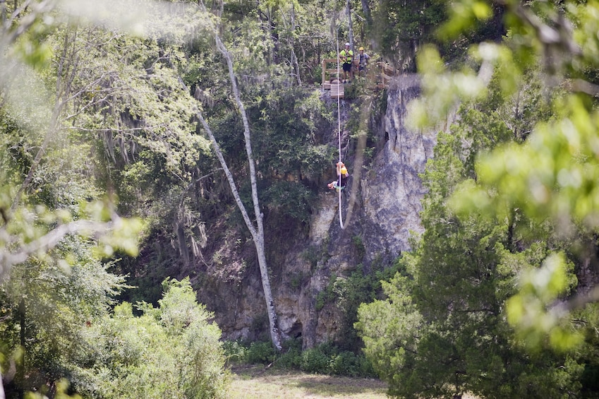 Show item 3 of 3. Treetop Express Zip Line Tour