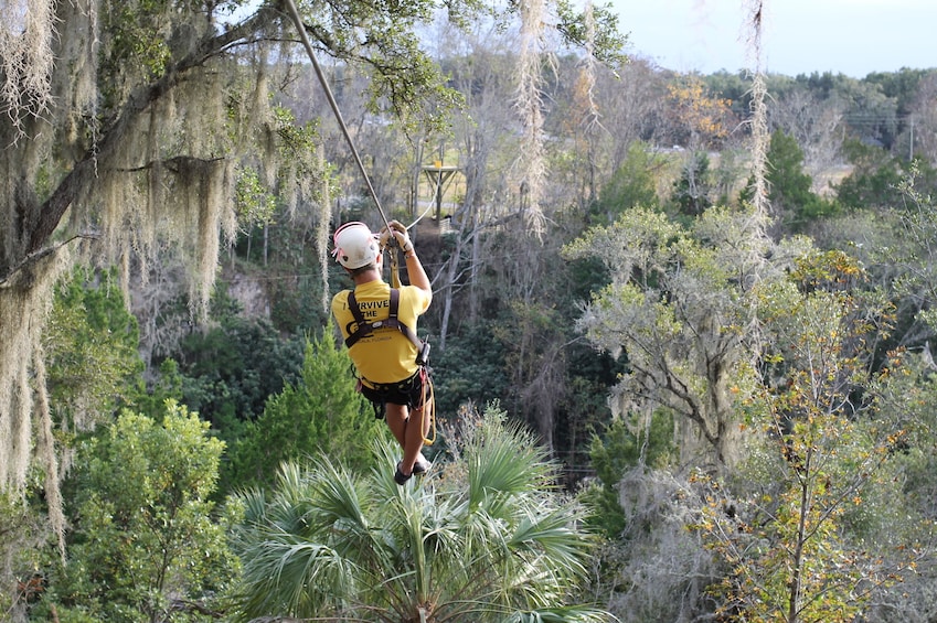 Show item 2 of 3. Treetop Express Zip Line Tour