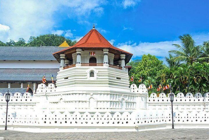 Kandy City Tour by Lux Tours Lanka