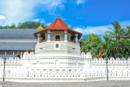 Kandy City Tour by Lux Tours Lanka