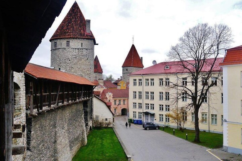 Private Shore Excursion: Highlights of Tallinn with Kadriorg and Pirita