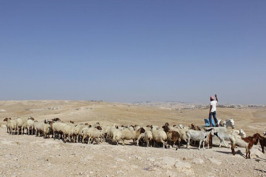 Judean Desert Jeep Adventure from Jerusalem