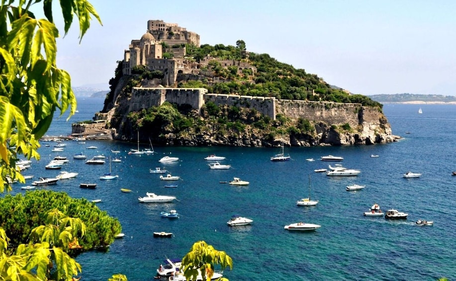 Show item 1 of 1. Discover Ischia and Procida from Sorrento