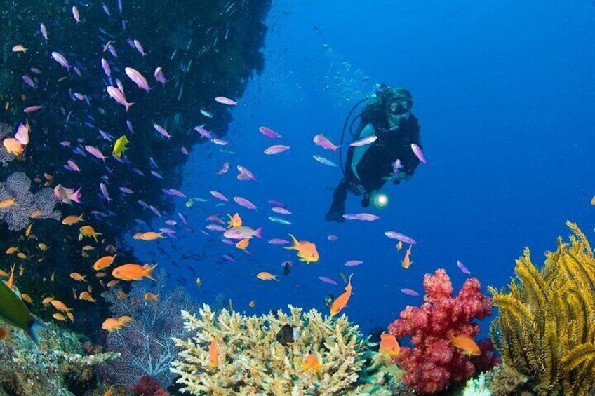 Scuba Diving Hurghada