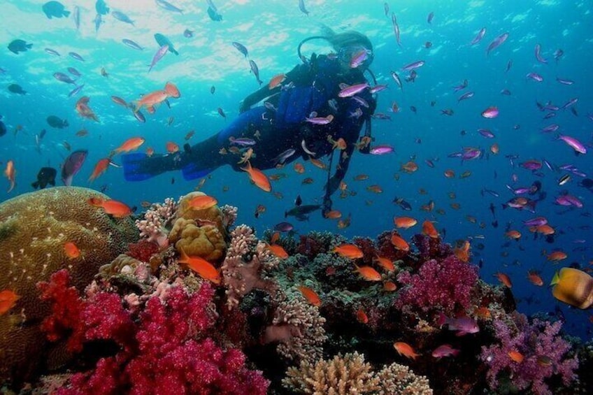 Scuba Diving Hurghada