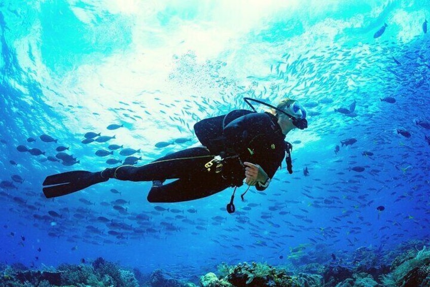 Scuba Diving Hurghada