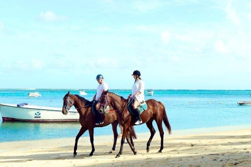 Horse Riding experience by Haras du Morne 