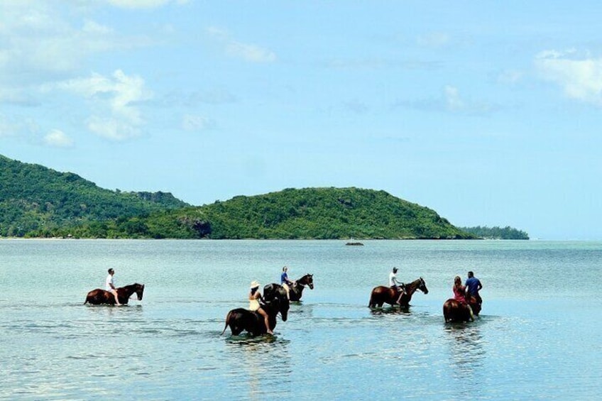 Horse Riding experience by Haras du Morne 