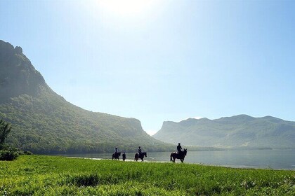 Horse Riding experience by Haras du Morne