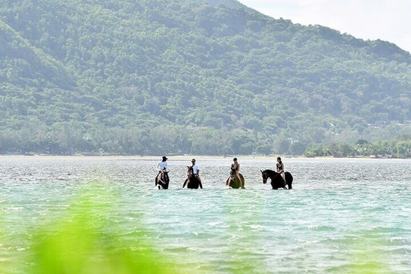 Horse Riding experience by Haras du Morne 