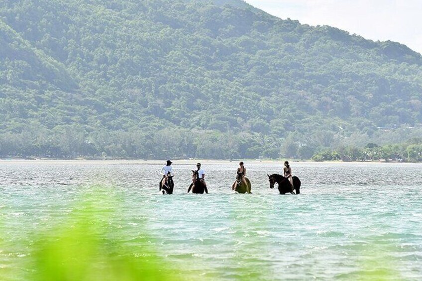 Horse Riding experience by Haras du Morne