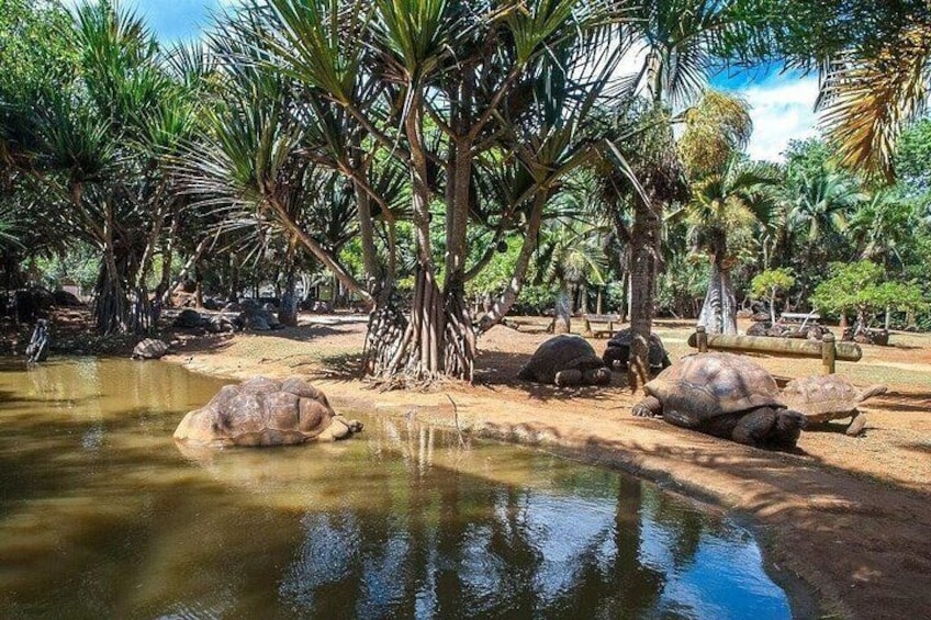 La Vanille Nature Park 