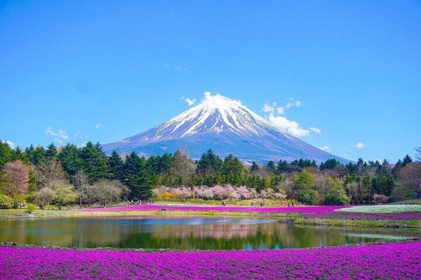 Private Unforgettable Mt Fuji Tour with English Speaking Driver