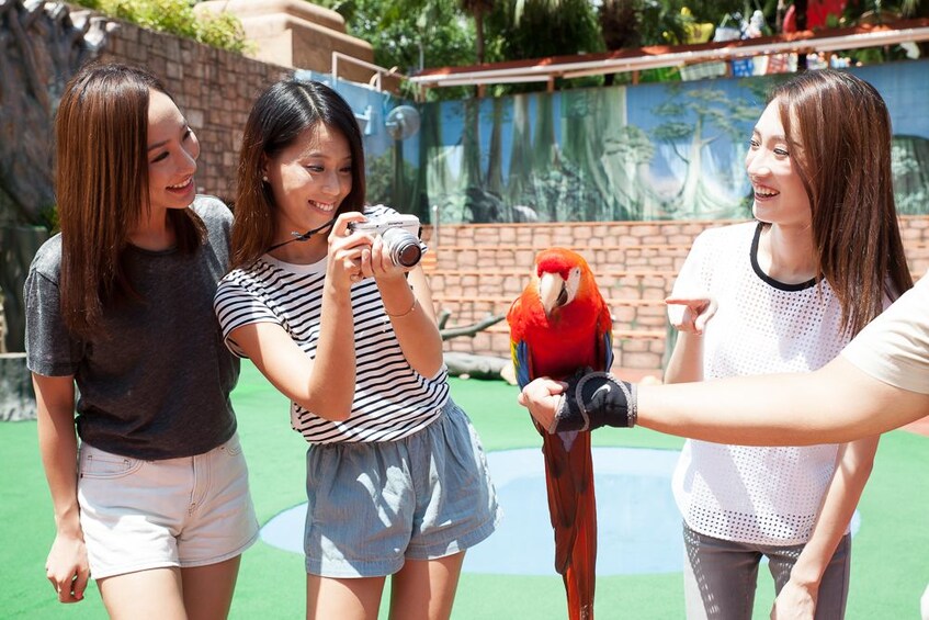 Hong Kong Ocean Park Tickets