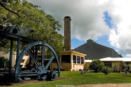 Discovery of Sugar World, North of Mauritius