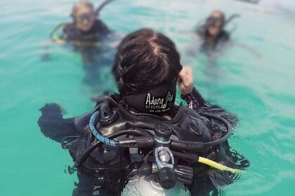 Open Water Diver Course