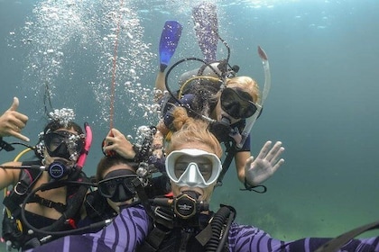 Discover Scuba Diving (DSD) 1 day Experience