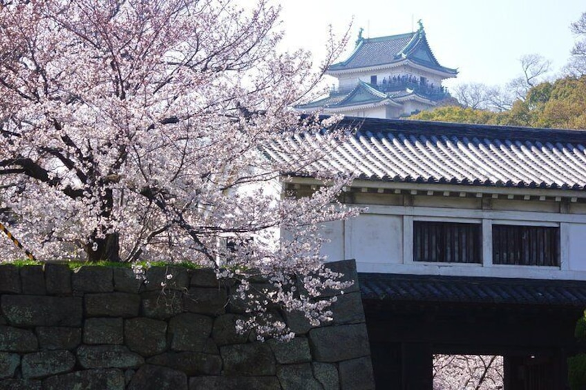 Okaguchimon Gate in spring