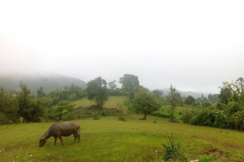 Trekking Kalaw to Inle Lake