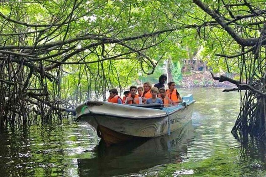 Madu River Boat Ride