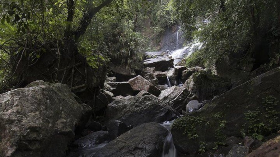 'Explore Sinharaja' rainforest - Discovery Tour