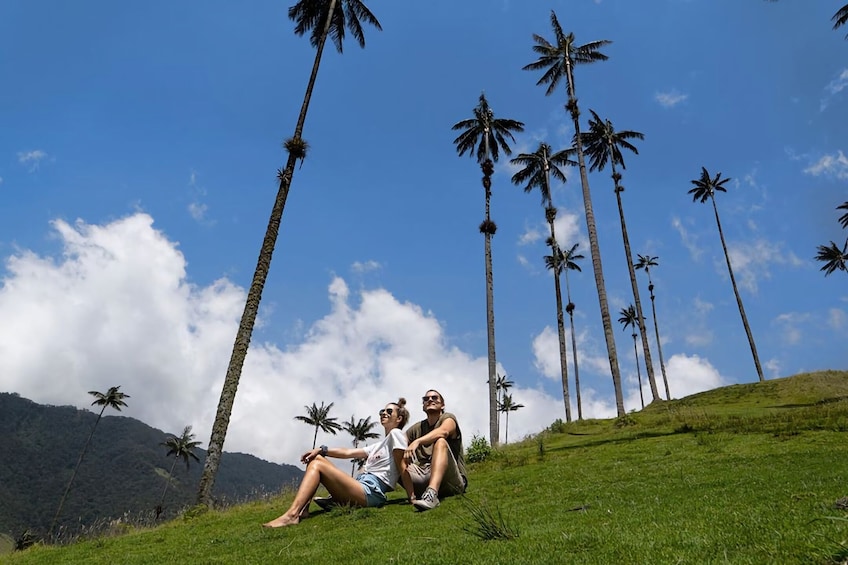 Cocora Valley exucursion from Salento