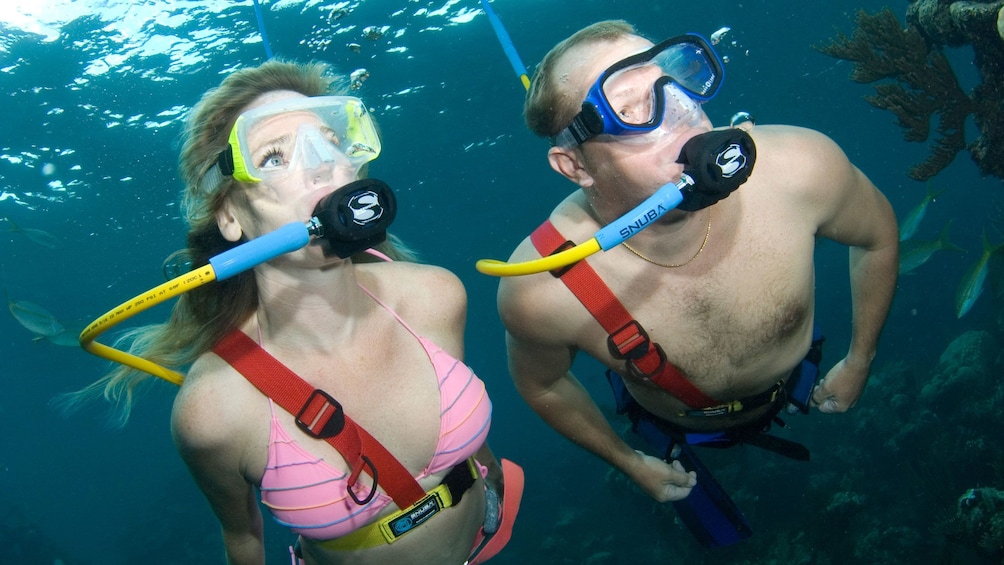 Show item 1 of 8. two divers on SNUBA Adventure in Nassau