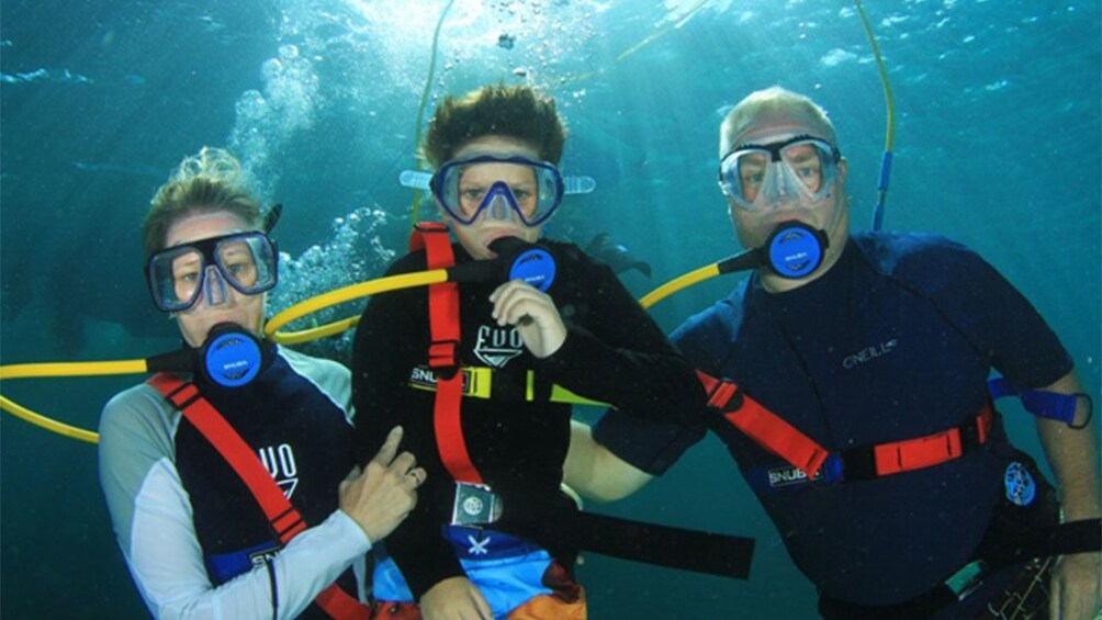 Show item 4 of 8. Three divers on SNUBA Adventure in Nassau