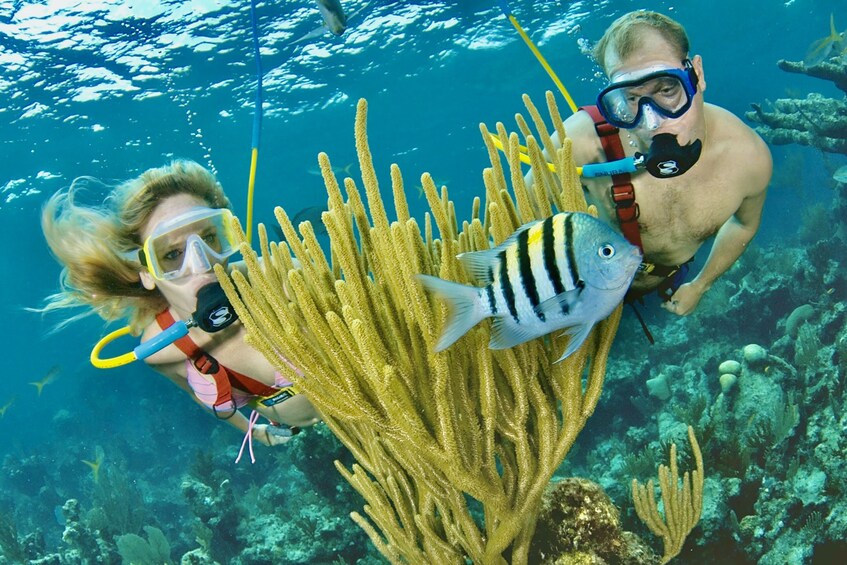 Show item 3 of 8. SNUBA Adventure! Easy & Fun Family Activity