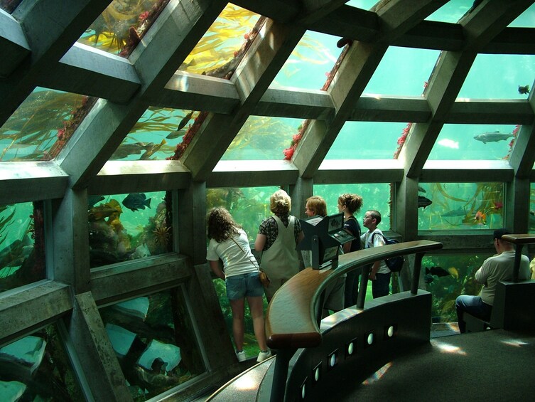 Seattle Aquarium Admission Ticket