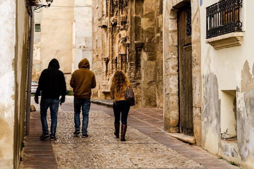 Stroll through ancient city streets with your own personal historian.