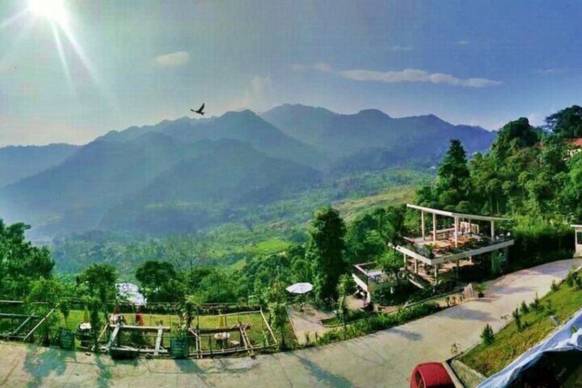 Bogor Botanical Garden, Waterfall, Mountain Springs & Rice Field