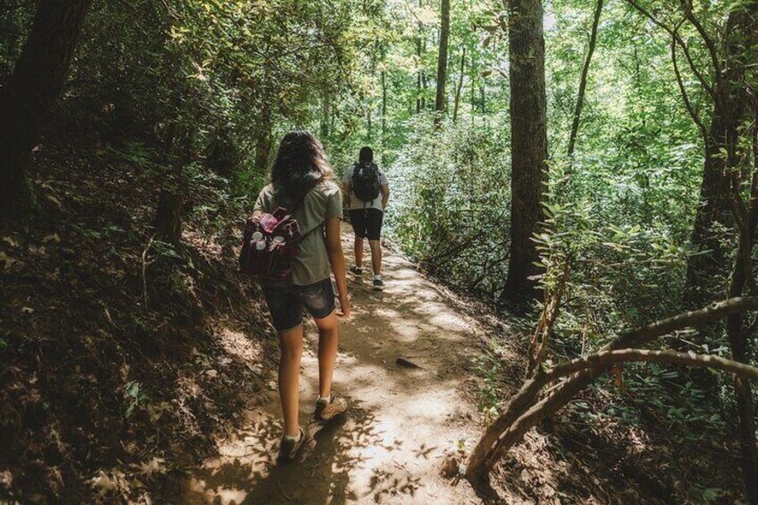 Bogor Botanical Garden & Rainforest Trekking to Hidden Waterfall