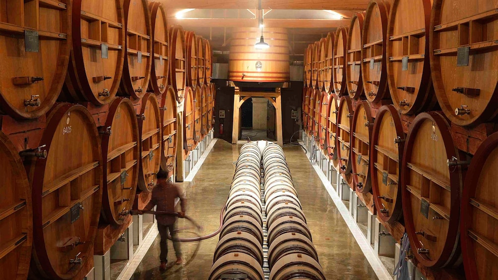 Charger l’élément 2 sur 5. Distributing wine into barrels at the vineyard in Cannes