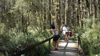Gatorland & Zip line with Transport