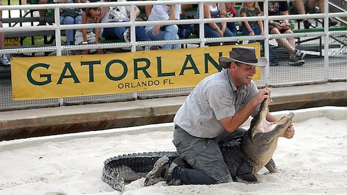 gatorland zipline transportation expedia