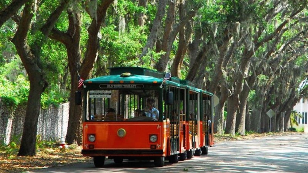 Trolley driving down tree-lined street in St. Augustine.