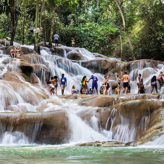 dunns river falls tour prices