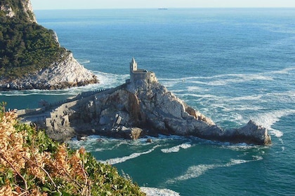 Walking towards Portovenere and the secrets of the ancient olives roman mil...