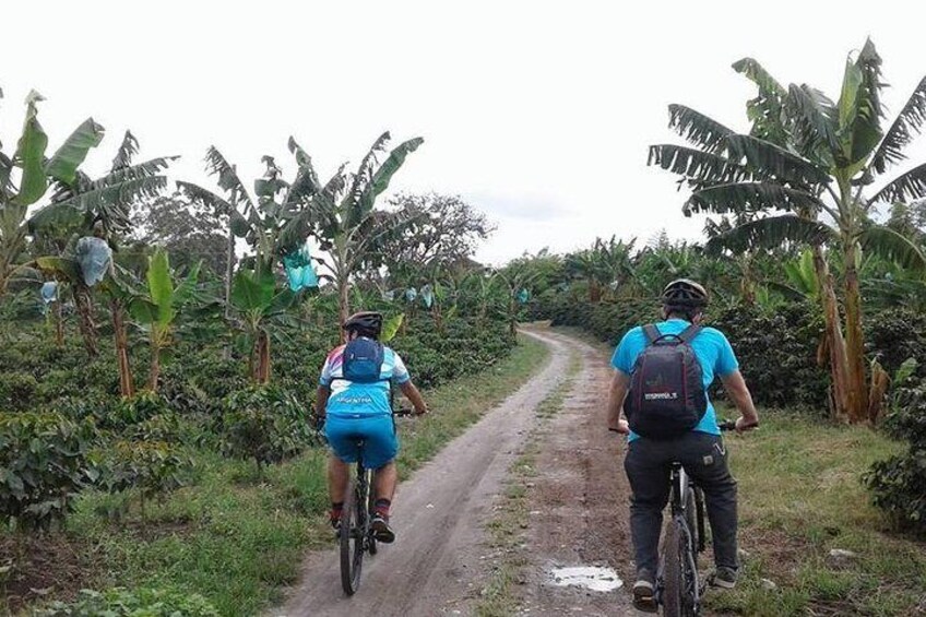Bike expedition La Vuelta al Quindio Colombia Coffee region