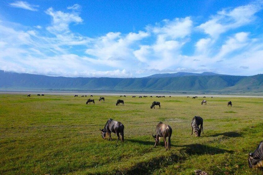 An eyecatching afternoon along the crater