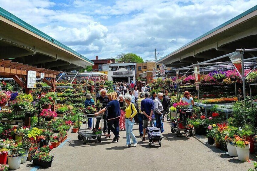 Discover Little Italy & Jean Talon Market - A Walking Tour For the Curious