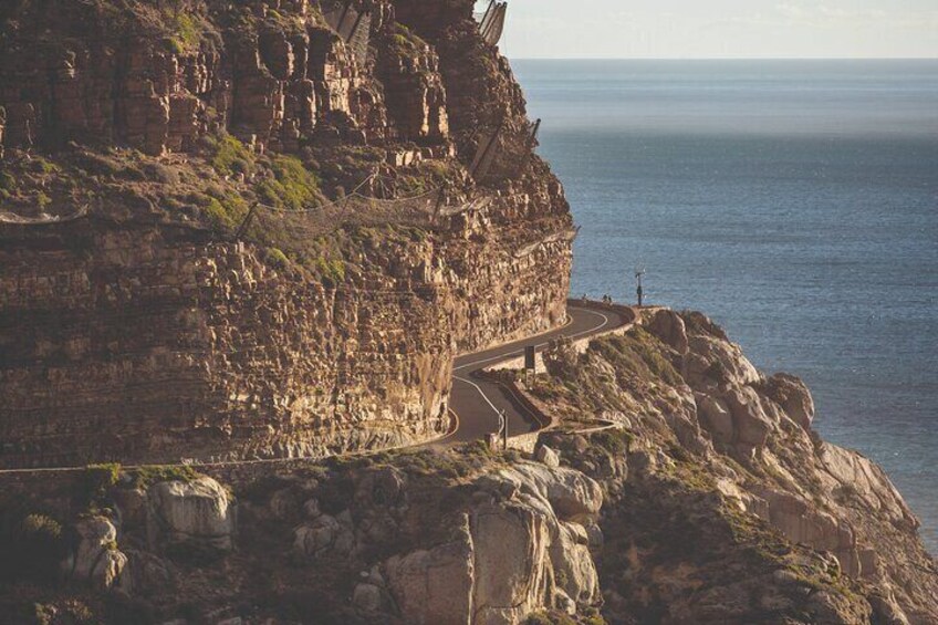 Cape Peninsula Cycle and Shuttle Combo Private Tour